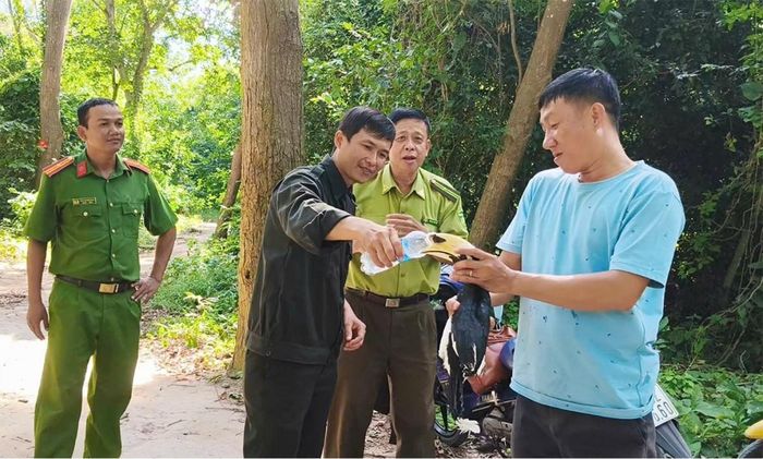  Anh Phan Thanh Trung bàn giao cá thể Cao cát bụng trắng cho lực lượng chức năng để kiểm tra, chăm sóc và làm thủ tục thả về môi trường tự nhiên. Ảnh: CA tỉnh An Giang. 