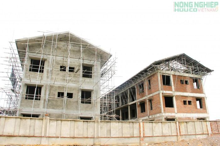 Nghệ An thúc đẩy hoàn thành các dự án trọng điểm, các Trường phổ thông nội trú liên cấp Tiểu học và THCS để chào đón năm học mới 2026 - 2027. (Ảnh: Việt Hòa)