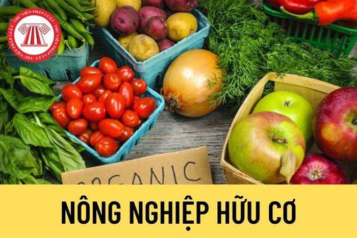 Sản phẩm hữu cơ ngày càng thiết yếu trong thị trường