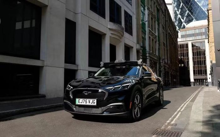 Các xe tự lái vẫn có tài xế sẵn sàng cầm lái trong trường hợp khẩn cấp