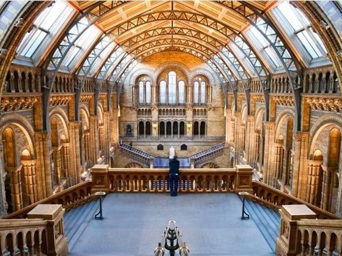 Bảo tàng Lịch sử tự nhiên London (Anh) có những tiền sảnh và hội trường rộng với hệ thống chiếu sáng tinh tế cho các khu trưng bày.