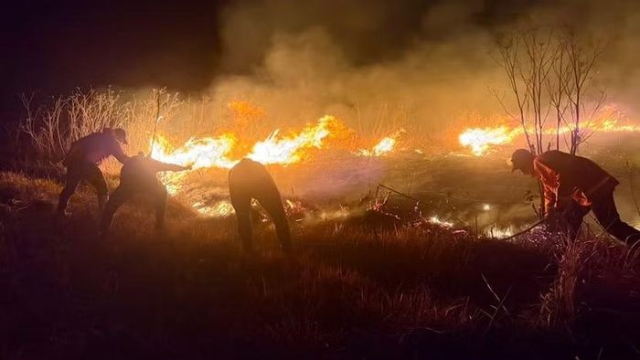 Các quan chức ở Indonesia cho biết El Nino đã làm tăng nguy cơ xảy ra nhiều vụ cháy hơn trong mùa khô cao điểm