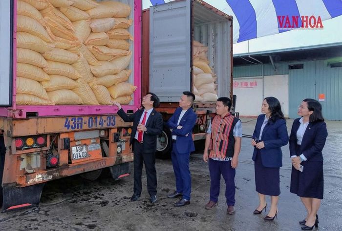 Lô hàng hạt trẩu của người dân xã Hướng Phùng được xuất khẩu