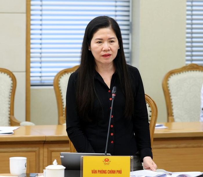 Đại diện các bộ, ngành phát biểu tại phiên họp - Ảnh chinhphu.vn/Đức Tuân