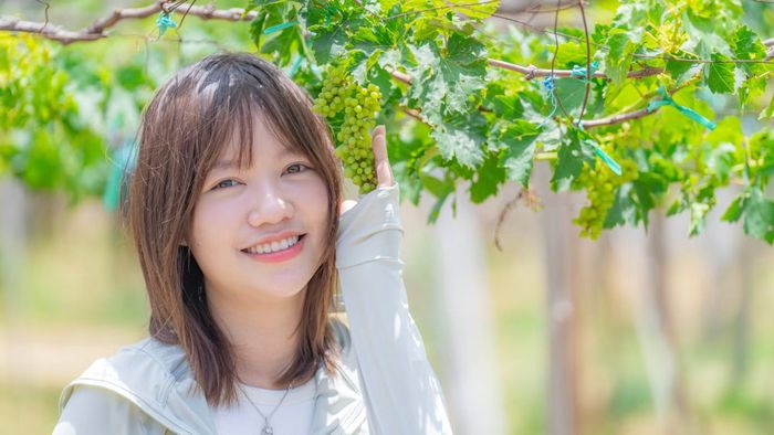 Người ta không chỉ đến đây để trải nghiệm thu hái nho, mà còn đến để nghe những câu chuyện về lịch sử, mùa vụ... những niềm tự hào về loại sản vật của mảnh đất "nắng, gió".