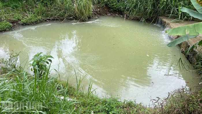 Khoảng 9 giờ sáng 6/9, dù lượng nước thải đổ xuống hồ không nhiều nhưng nước có màu trắng đục. (Ảnh: CÔNG LÝ)