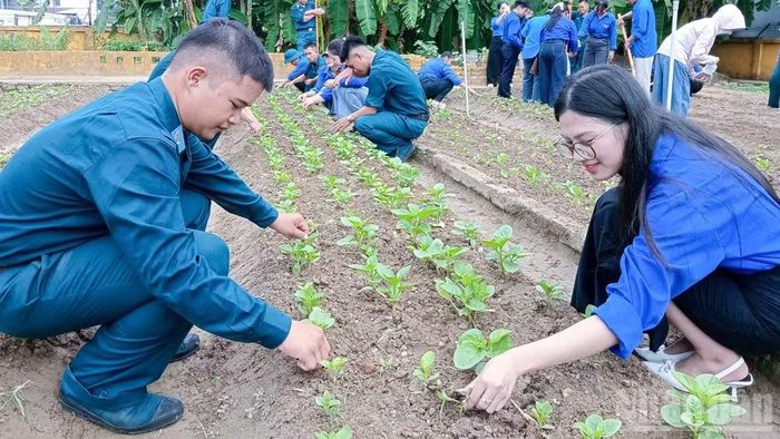 Các hoạt động đã góp phần gắn bó giữa tuổi trẻ đơn vị với địa phương. (Ảnh: ĐỨC TRƯỜNG)