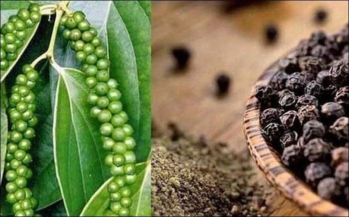Giá hồ tiêu hôm nay (7-9) đi ngang. Ảnh minh họa