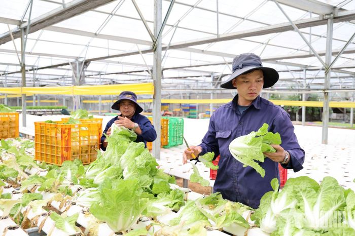Lâm Đồng có nhiều thế mạnh về sản xuất hàng nông sản để xuất khẩu sang thị trường Trung Quốc.