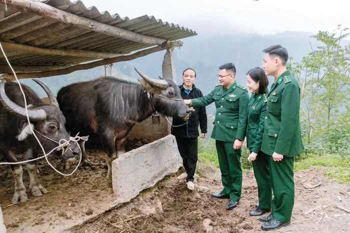 Chiến sĩ Đồn Biên phòng Thanh Thủy (Bộ đội Biên phòng tỉnh Tuyên Quang) giúp sức người dân thoát nghèo.