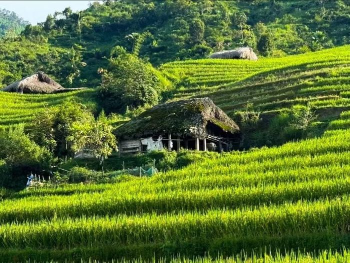 Sự trù phú nơi biên cương Tuyên Quang giúp người dân ngày càng no ấm.