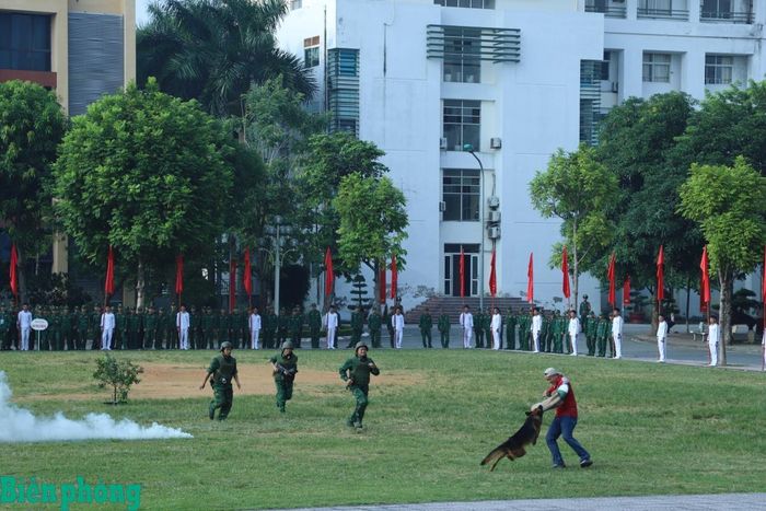 Biểu diễn nội dung đánh bắt tội phạm có sử dụng chó nghiệp vụ. Ảnh: Ngọc Lâm