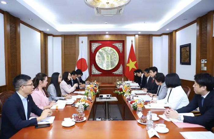 Quang cảnh buổi làm việc giữa Việt Nam và Nhật Bản tại trụ sở Bộ VHTTDL. Ảnh: Bộ VHTTDL