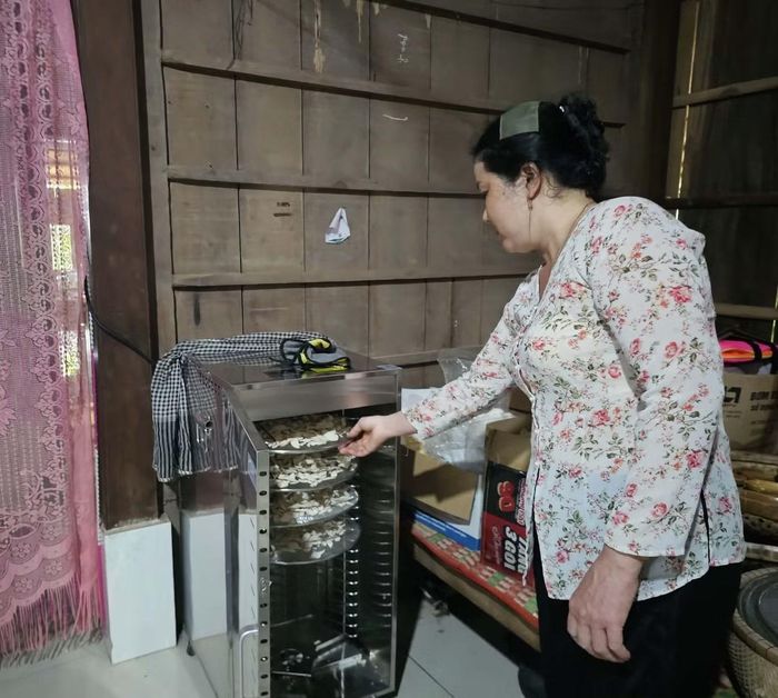 Chị Hồ Thị Loan sấy mứt bưởi từ nhờ đầu tư năng lượng gần 80 triệu đồng. Ảnh: Hòa Hội.