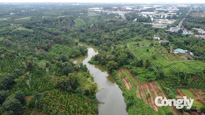 Vị trí hồ nằm dưới và có cống xả nước thải từ Cụm công nghiệp Tân An