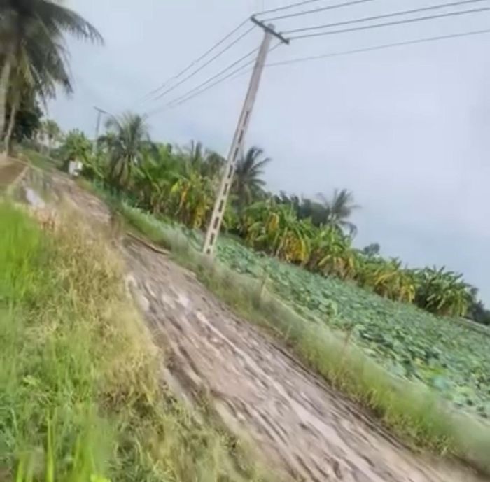 Đường trơn trượt khiến việc đi lại của người dân gặp khó khăn