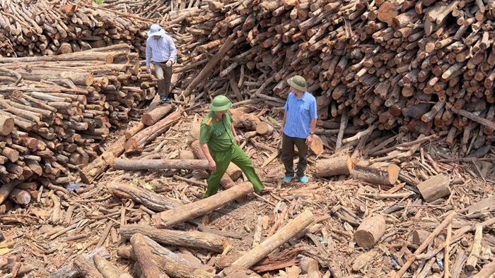Nhiều tang vật bị thu giữ để phục vụ điều tra.
