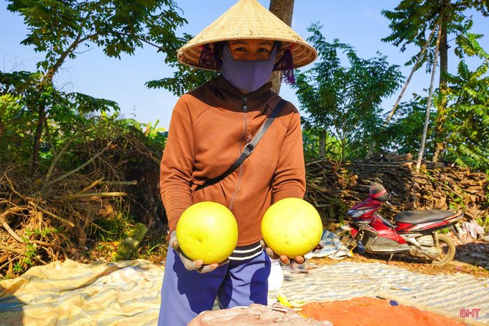  Do chủ yếu bán sỉ cho các mối buôn nên giá bưởi tại chợ này thường "mềm" hơn so với nơi khác. Anh Nguyễn Văn Anh (xã Xuân Lộc) chia sẻ: "Mỗi năm đến mùa bưởi, tôi lại đến đây chọn mua làm quà gửi ra Hà Nội cho người thân. Bưởi ở chợ này thường rẻ hơn chỗ khác một vài giá nên mua nhiều cũng tiết kiệm được một khoản". 