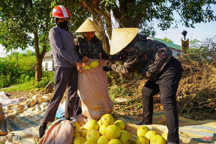 Phiên chợ bưởi Phúc Trạch không chỉ là nơi giao thương mà còn là nét văn hóa đặc sắc, gắn liền với vùng đất Hương Khê, góp phần khẳng định thương hiệu bưởi Phúc Trạch trên thị trường.