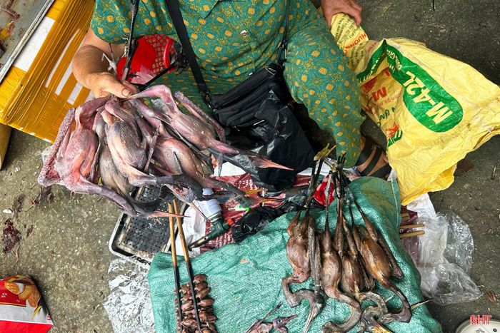 Chim trời được bày bán tại chợ dân sinh.