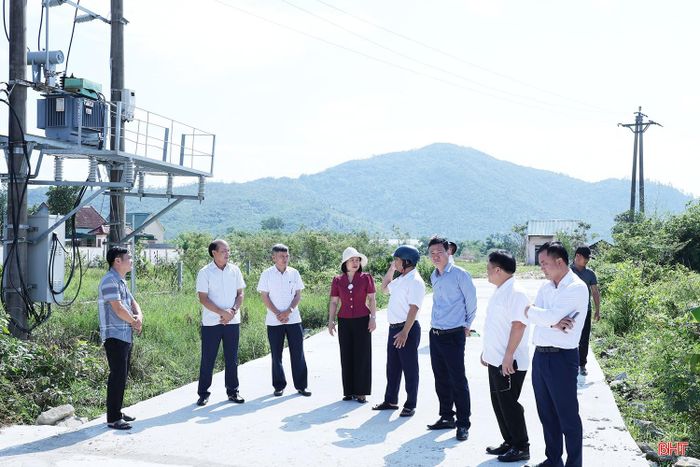  Trước đó, Ban Kinh tế - Ngân sách, HĐND tỉnh khảo sát thực trạng hệ thống đường dây, trạm biến áp do Hợp tác xã Dịch vụ Điện Xuân Viên quản lý. 