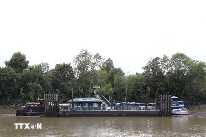 Một số con tàu tại cầu tàu Kew không thể hoạt động do mực nước sông Thames xuống quá thấp. (Ảnh: Hữu Tiến/TTXVN)