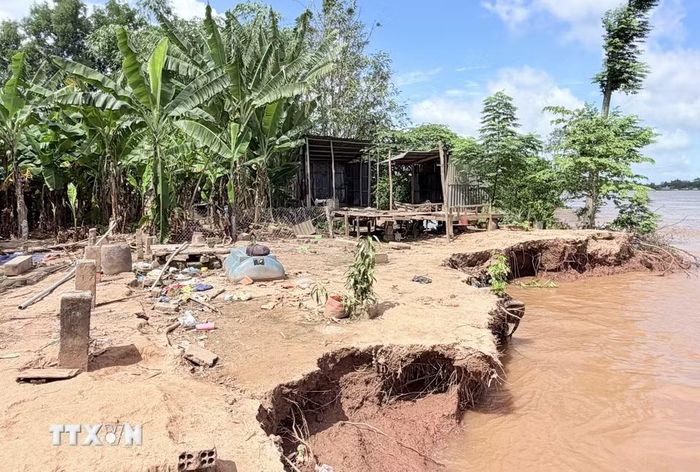 Vết sạt ăn sâu vào đất liền khoảng 7m, áp sát tuyến đường giao thông, gây nguy hiểm cho người và phương tiện. (Ảnh: Thanh Sang/TTXVN)