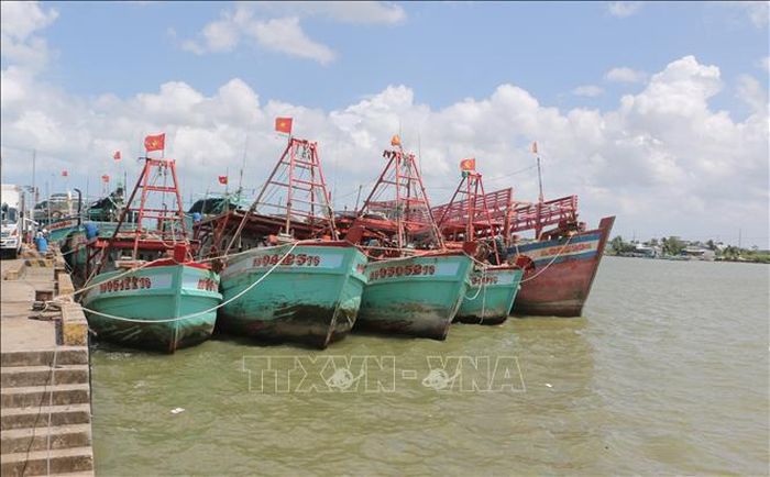 Tàu cá neo đậu tại của biển Gành Hào (xã Gành Hào, tỉnh Cà Mau). Ảnh: Tuấn Kiệt/TTXVN