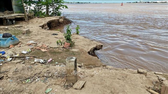 Vết sạt ăn sâu vào đất liền khoảng 7m, áp sát tuyến đường giao thông, gây nguy hiểm cho người và phương tiện.
