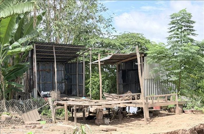 Chính quyền địa phương đã di dời các hộ dân nằm trong vùng sạt lở nguy hiểm đến nơi an toàn.