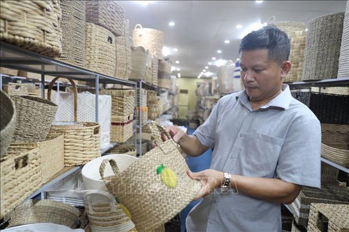 Ông Phạm Minh Tôn, Giám đốc Công ty Cổ phần Sản xuất, chế biến cói xuất khẩu Việt Anh, xã Nga An, kiểm tra các sản phẩm của công ty.