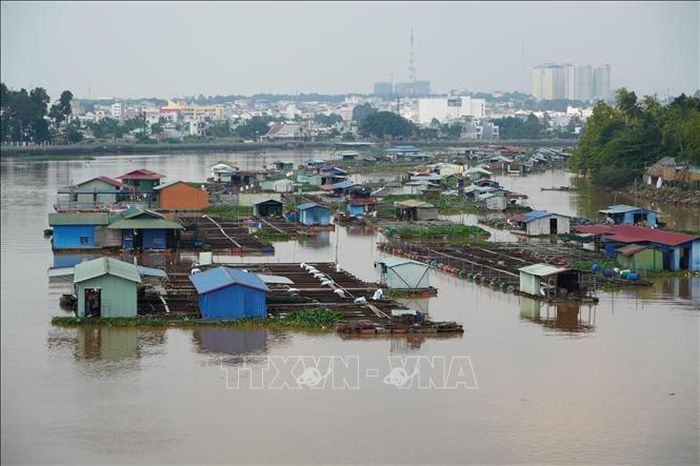 Gần 2.000 lồng, bè nuôi thủy sản trên sông Đồng Nai đoạn qua phường Trấn Biên và Long Hưng, thành phố Đồng Nai dự kiến sẽ được giải tỏa.