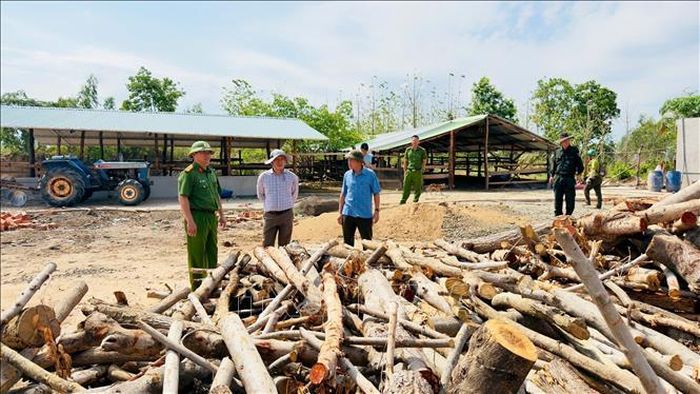 Cơ quan chức năng kiểm đếm tang vật vụ việc. Ảnh: TTXVN phát
