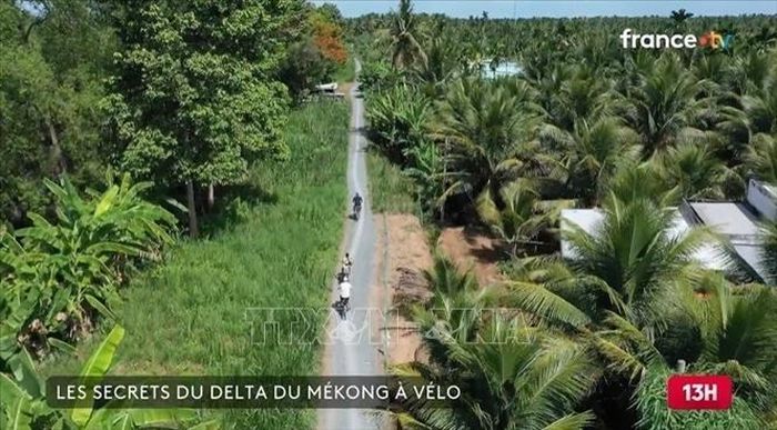 Một khung hình trong phóng sự “Việt Nam: Những bí mật của Đồng bằng sông Cửu Long” của Franceinfo. Ảnh: TTXVN phát