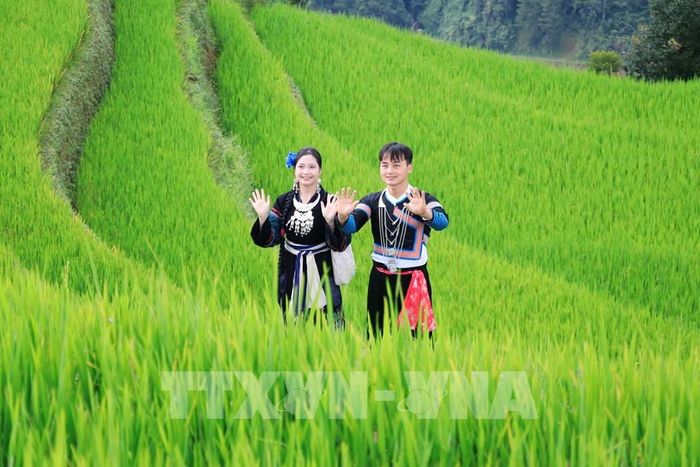 Các cặp đôi chụp hình trên những thửa ruộng bậc thang uốn lượn. Ảnh: Tuấn Anh - TTXVN