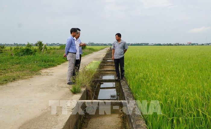 Đường dẫn nước trên đồng ruộng được xây dựng kiên cố, giúp việc bơm rút nước thuận lợi. Ảnh: Nhựt An - TTXVN