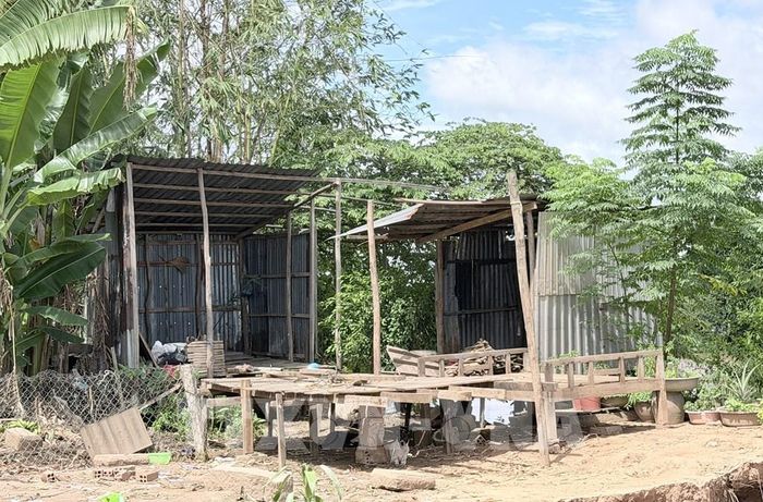 Chính quyền địa phương đã di dời các hộ dân nằm trong vùng sạt lở nguy hiểm đến nơi an toàn. Ảnh: Thanh Sang-TTXVN