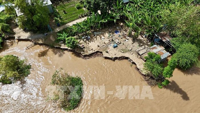 Toàn cảnh vụ sạt lở bờ sông Hậu thuộc ấp Mỹ Khánh 1, xã đảo Mỹ Hòa Hưng, tỉnh An Giang. Ảnh: Thanh Sang - TTXVN
