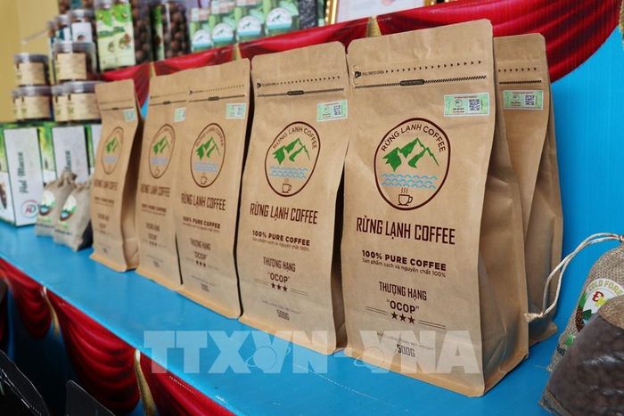 Từ vùng nguyên liệu cà phê, các cơ sở sản xuất tại phía Tây tỉnh Lâm Đồng đa dạng hóa sản phẩm chế biến, góp phần nâng cao giá trị hạt cà phê. Ảnh: Nguyễn Huy Thành – TTXVN