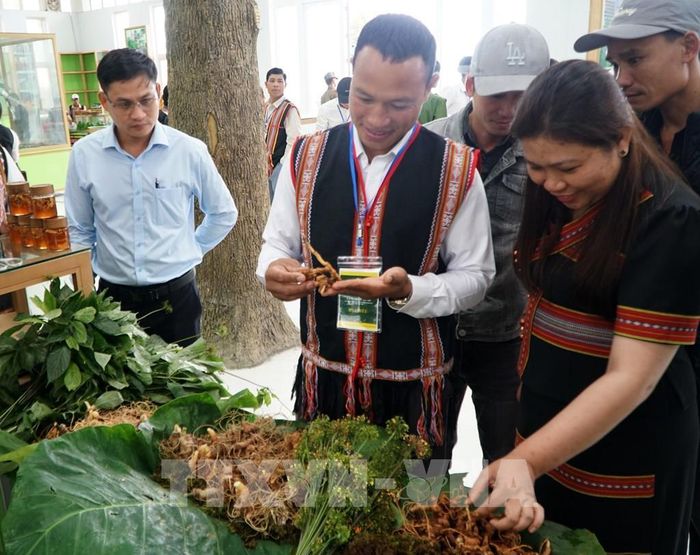 Đồng bào dân tộc Xơ Đăng bày bán các sản phẩm từ sâm Ngọc Linh tại Chợ phiên xã Trà Linh được tổ chức trong 2 ngày 2 - 3 hằng tháng. Ảnh: Quốc Dũng - TTXVN