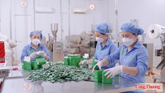 Không dừng lại ở hỗ trợ máy móc, thiết bị và công nghệ tiên tiến, nguồn kinh phí khuyến công còn tạo nền tảng để doanh nghiệp chuẩn hóa quy trình sản xuất, nâng chất lượng.