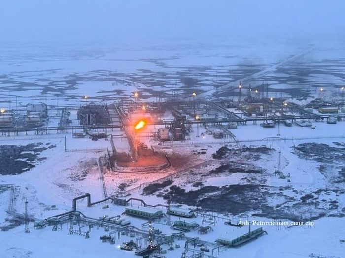 Công ty Liên doanh Rusvietpetro điều hành khai thác 4 lô dầu khí tại Nhenhesky, Liên bang Nga - Ảnh: Petrovietnam cung cấp