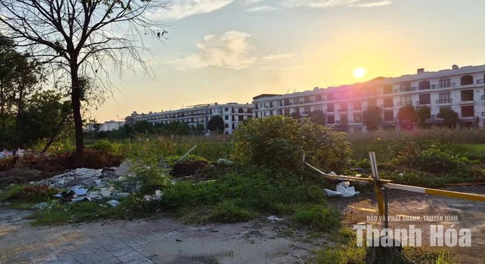 Mặt bằng 2125 bên cạnh những hộ dân vào ở là những khu đất bỏ hoang, cỏ cây um tùm và rác thải. Ảnh: Đình Giang