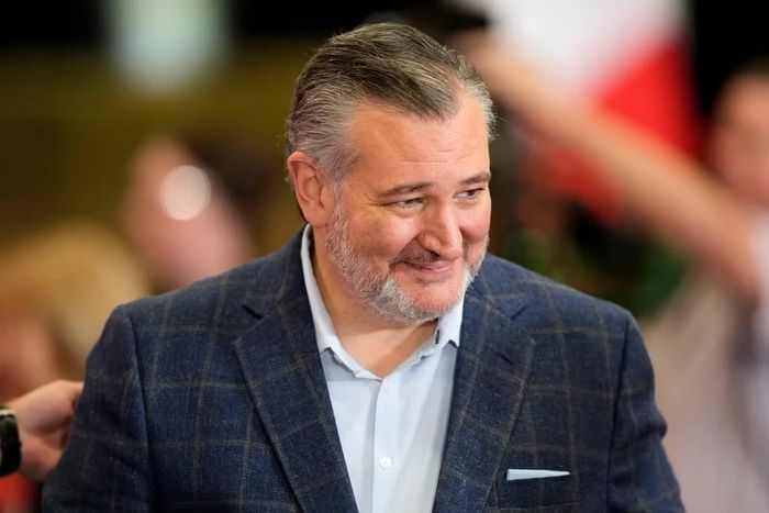 Các báo cáo mới đây xác nhận Thượng nghị sĩ đảng Cộng hòa Ted Cruz đang thăm dò dư luận, đi các bang chiến địa và ngầm hỏi ý kiến mọi người về việc tham gia chiến dịch tranh cử tổng thống năm 2028. Ảnh: The Independent.