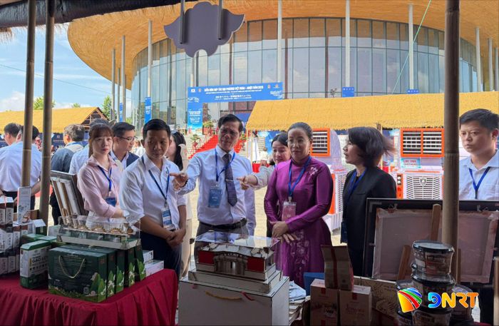 Phó Chủ tịch UBND thành phố Nguyễn Thị Anh Thi tham quan gian hàng của Đà Nẵng tại Diễn đàn hợp tác địa phương Việt - Nhật năm 2026. Ảnh: PHÚC ĐINH