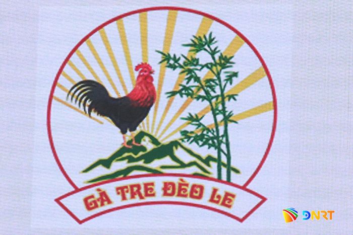Nhãn hiệu chứng nhận "Gà tre Đèo Le" đã được bảo hộ. Ảnh: ĐẮC MẠNH