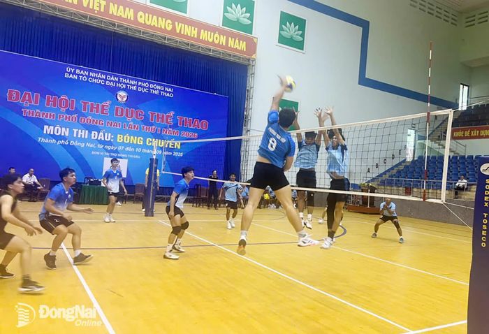 Các đội bóng chuyền nam thi đấu trong ngày đầu tiên 7-9. Ảnh: BTC