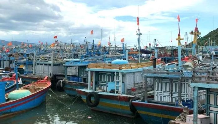  Có thời điểm, hàng trăm tàu cá tập trung tại khu neo đậu tại Cảng cá Tam Quan (phường Hoài Nhơn Bắc). Điều này khiến việc xử lý khi xảy ra sự cố, nhất là hỏa hoạn, càng trở nên khó khăn. Ảnh: N.T 