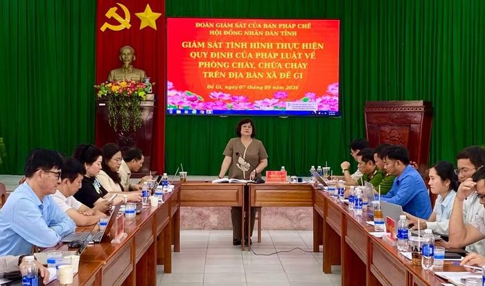 Đồng chí Đinh Ly An - Trưởng Ban Pháp chế HĐND tỉnh phát biểu chỉ đạo tại buổi làm việc. Ảnh: Nhật Trường