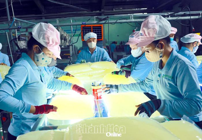 Hoạt động sản xuất của Công ty Cổ phần Thực phẩm Cánh Đồng Việt.